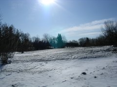 Blue Skye Farm, Maine 2004