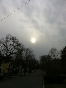 Winter Sun, Jan. 2013