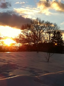 Arlington Heights  02.06.11