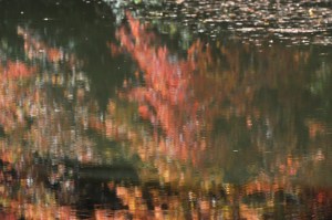 Reflections on pond 10.12.14