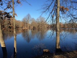 Nashawtuc reflections 12.14.14