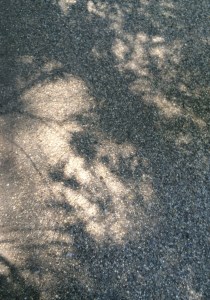 Shadows in Carlisle 09.06.15